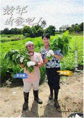 八点影院科普互动综艺脑洞实验室海报